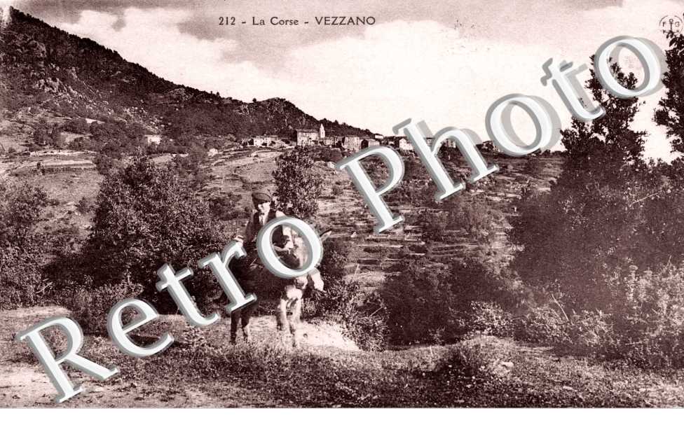 (vue generale)