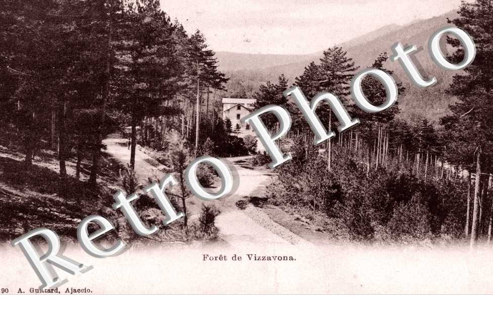 Foret