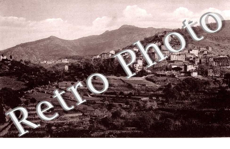(vue generale)