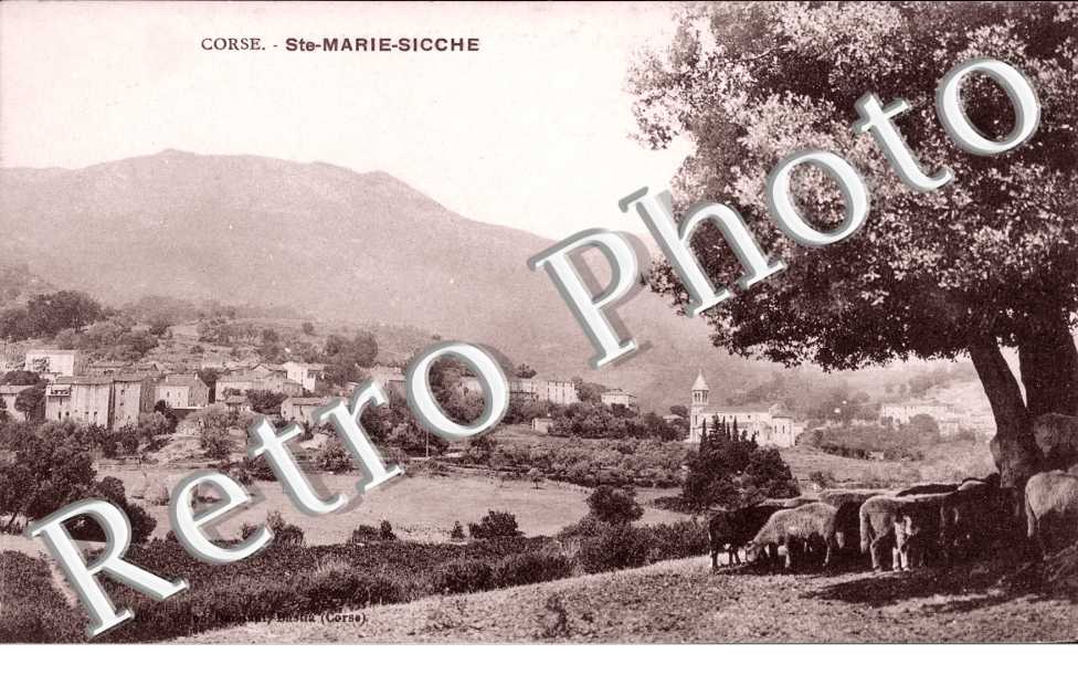 (vue generale)