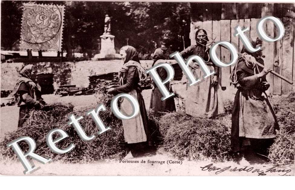 porteuses de Fourrage