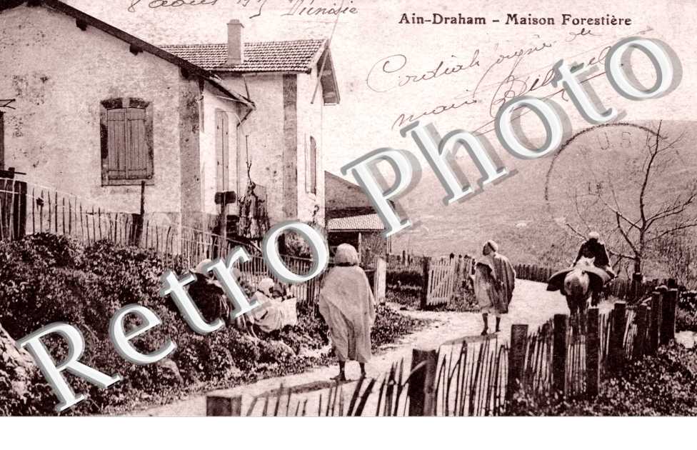 Maison Forestiere