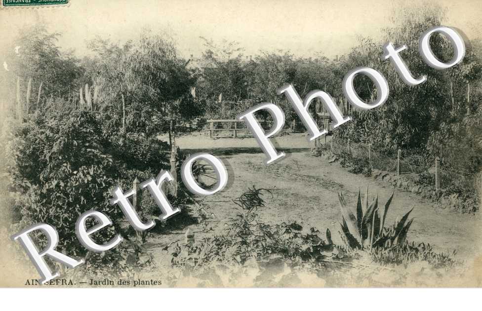 Jardin des plantes