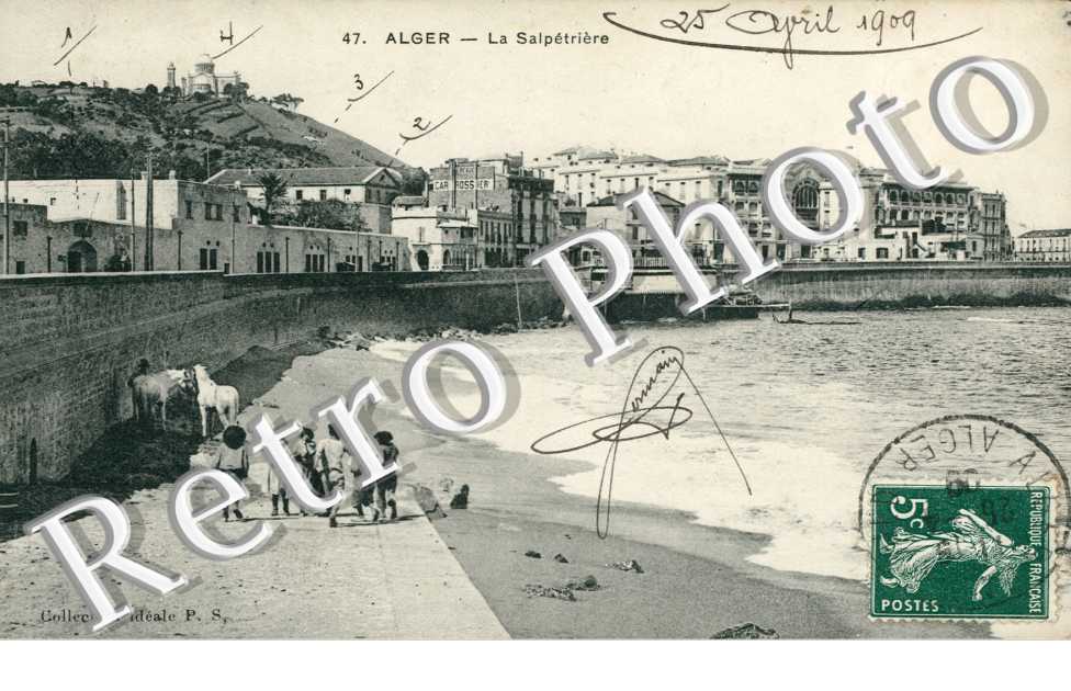 la Salpetriere