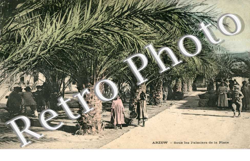 Sous les palmiers de la place