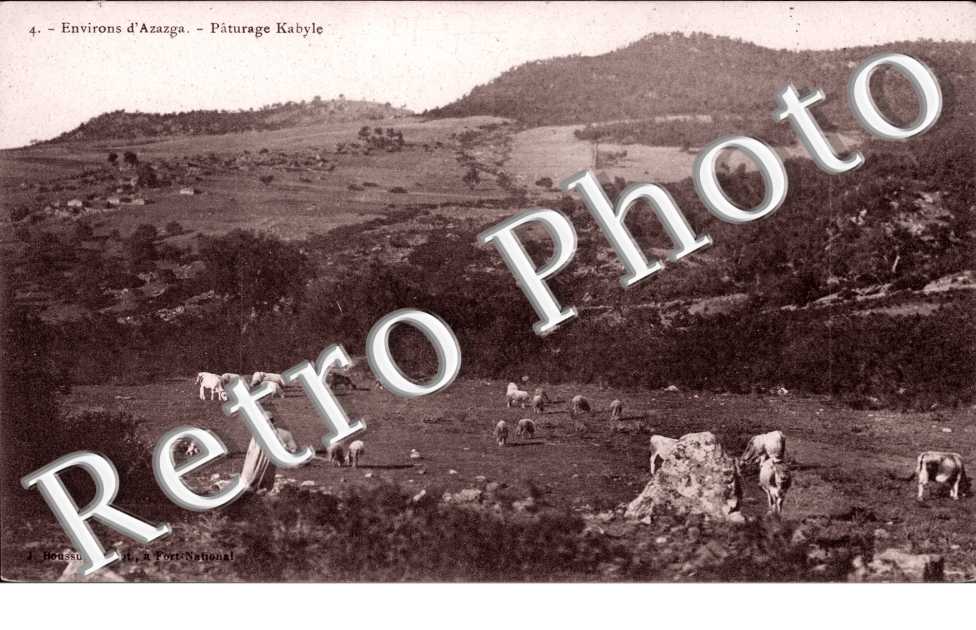 Paturage Kabyle