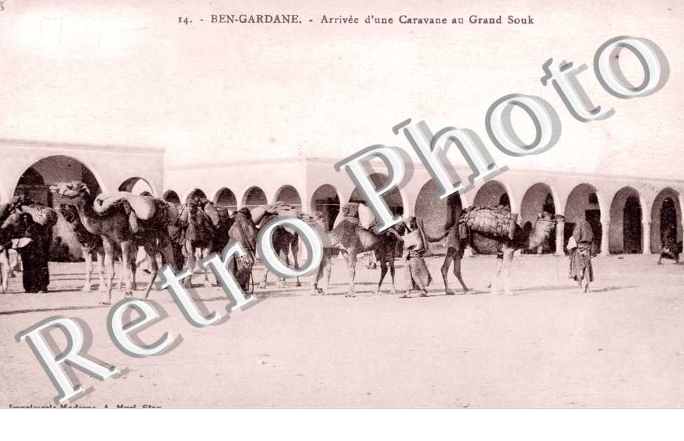 Arrivee d'une caravane au grand souk
