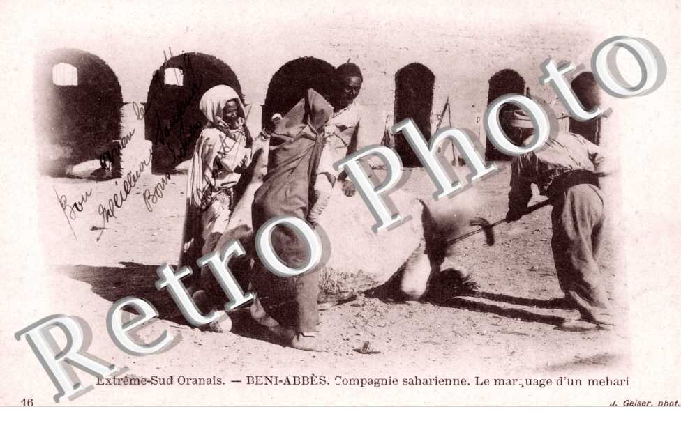 Compagnie saharienne, le marquage d'une mehari
