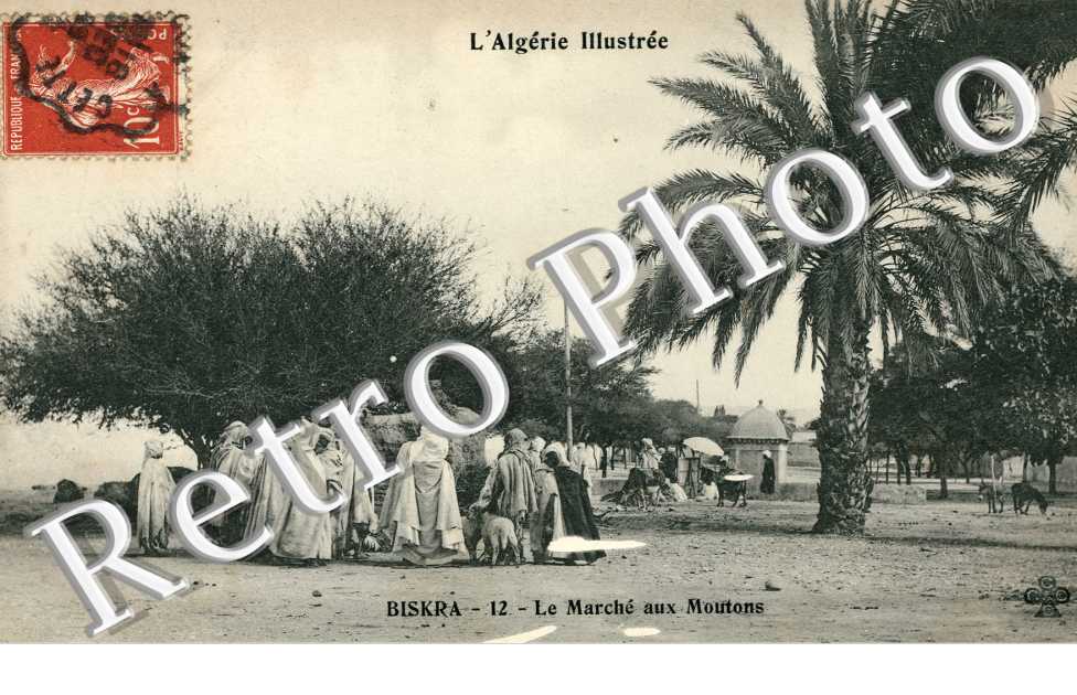 le Marche aux moutons