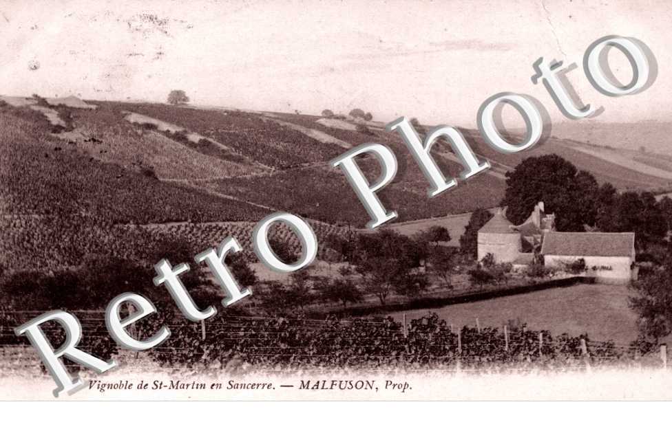 Vignoble de Saint-Martin en Sancerre Malfuson proprietaire