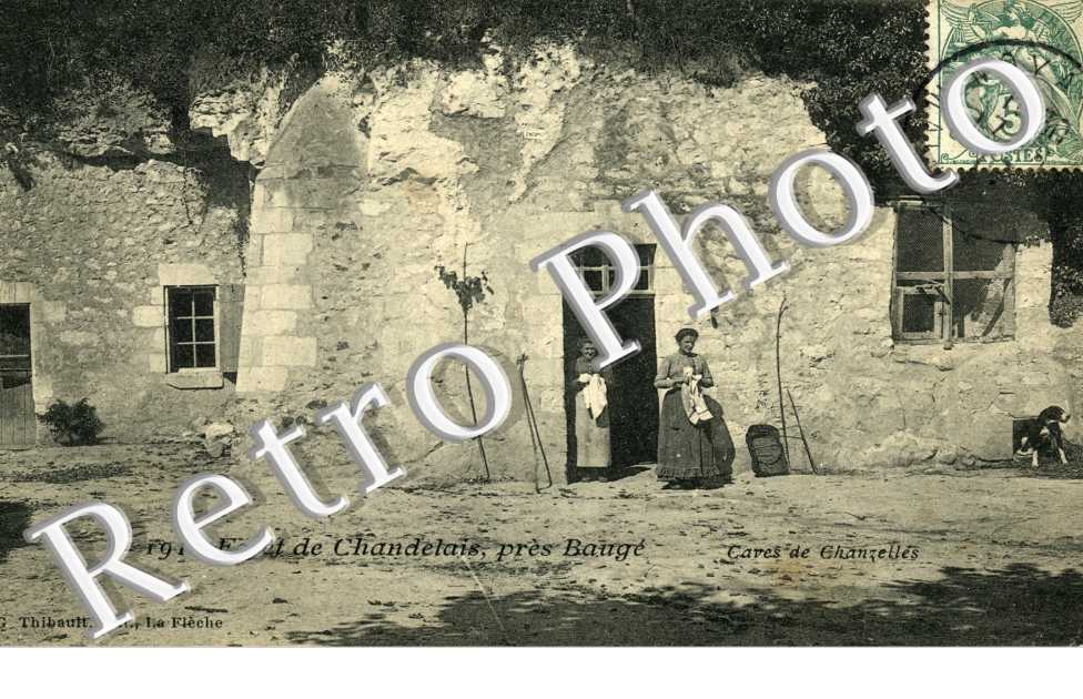 Foret de Chandelais, Caves de Chanzelles
