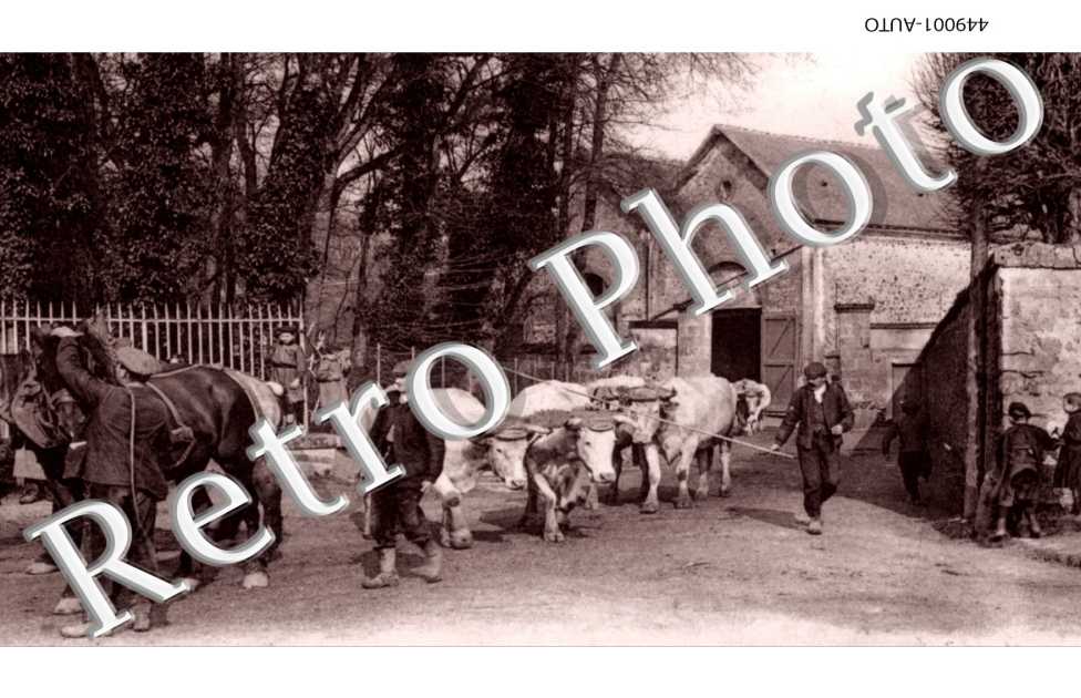 la ferme du chateau Le depart pour les champs