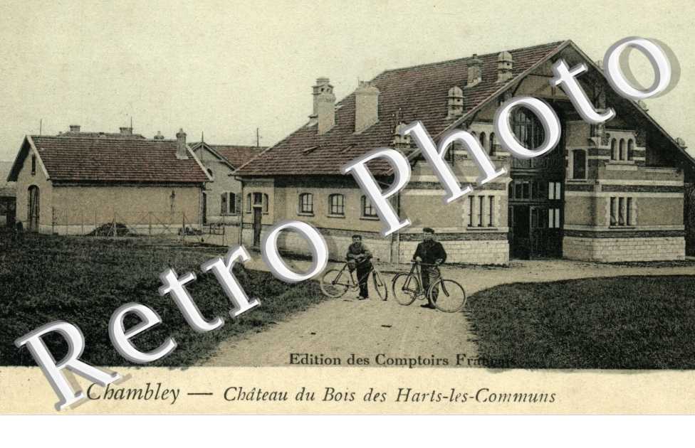chateau du Bois des harts-les-Communs