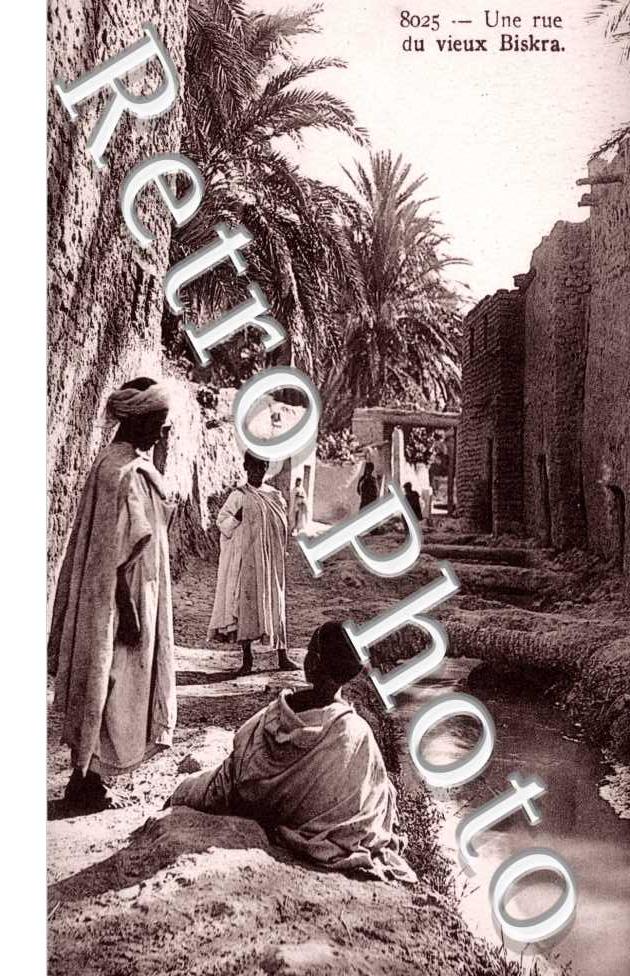 rue du Vieux Biskra