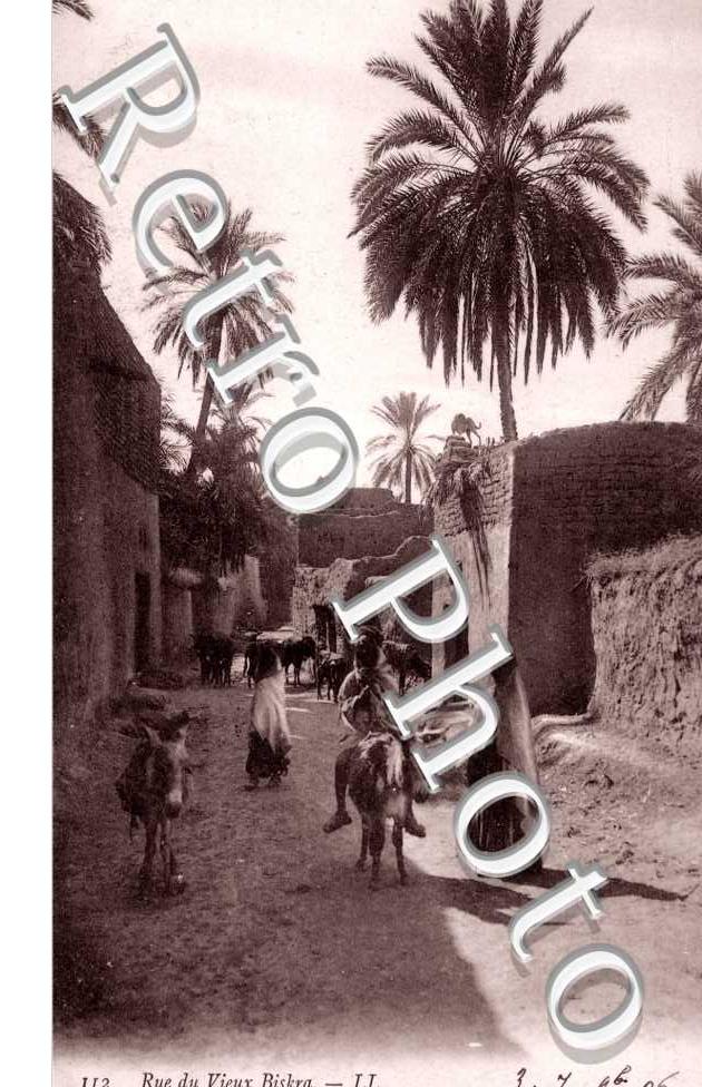 Rue du Vieux Biskra
