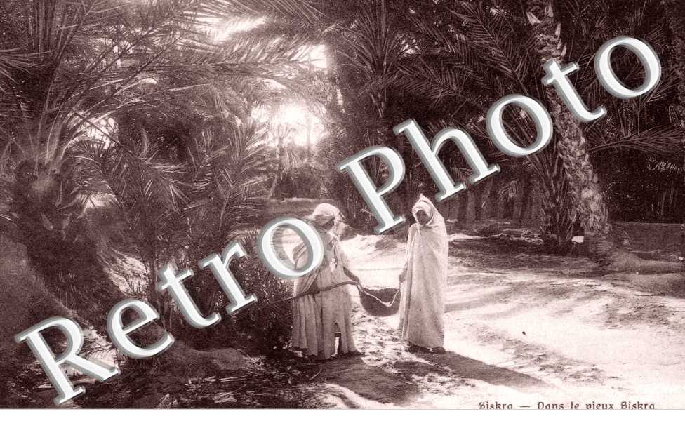 Dans le vieux Biskra