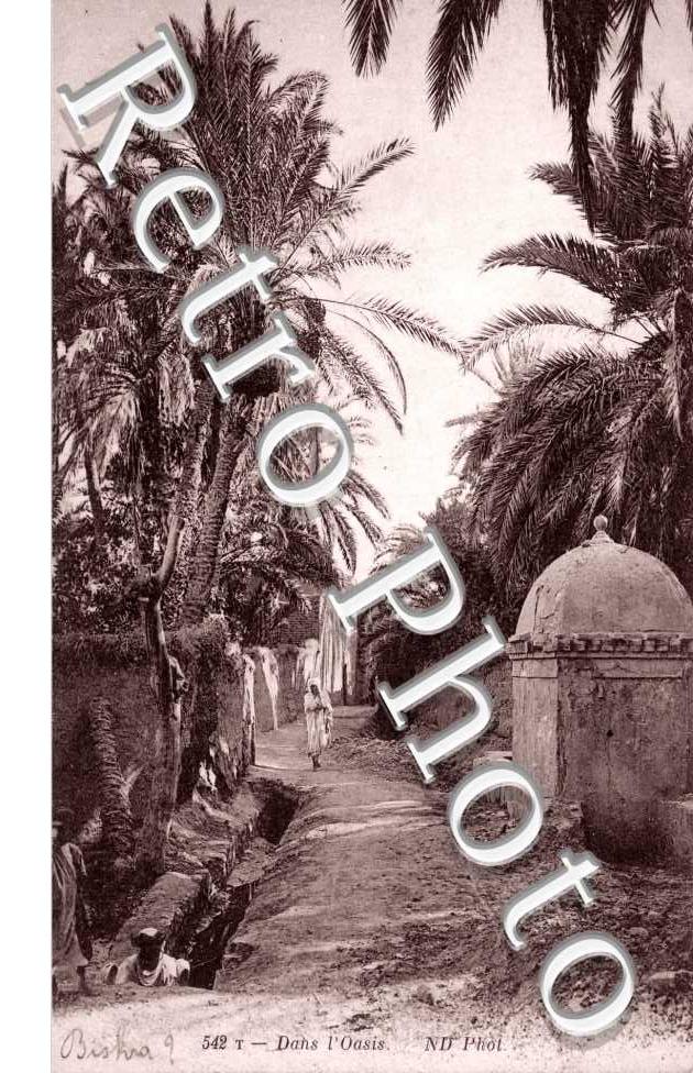 l'Oasis