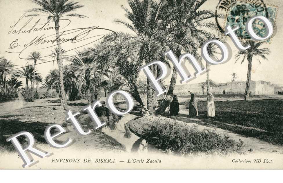 L'oasis Zaouia