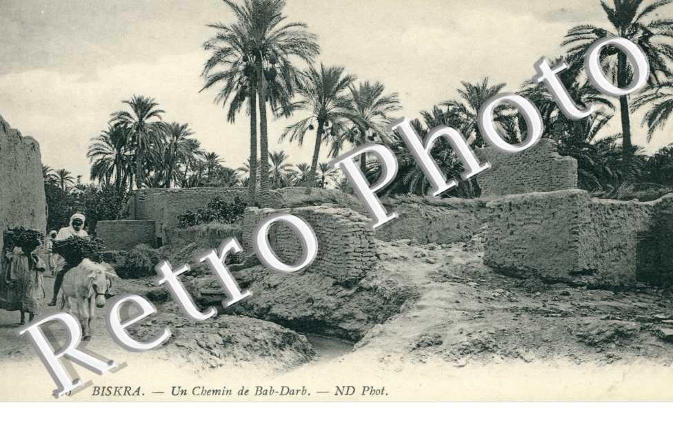 Un Chemin de Bab-Dark