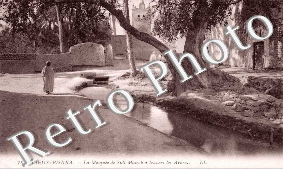 La mosquée de Sidi maleck à travers les arbres
