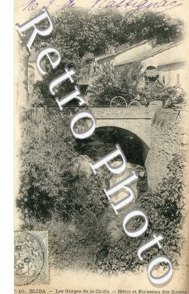 les Gorges de la Chiffa, Hotel et Ruisseau des Singes