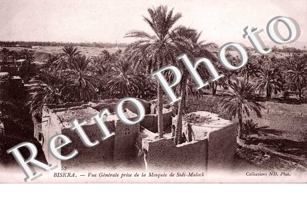Vue general prise de la Moquee de Sido Maleck
