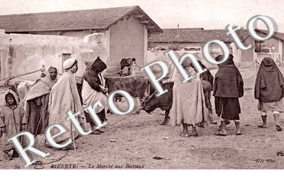 Marche aux Bestiaux