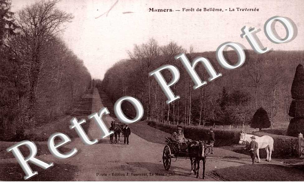 Mamers Foret de Belleme La traversee