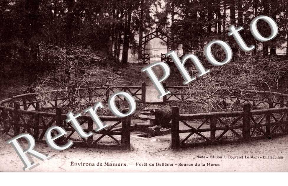 Foret de Belleme Source de la Herse