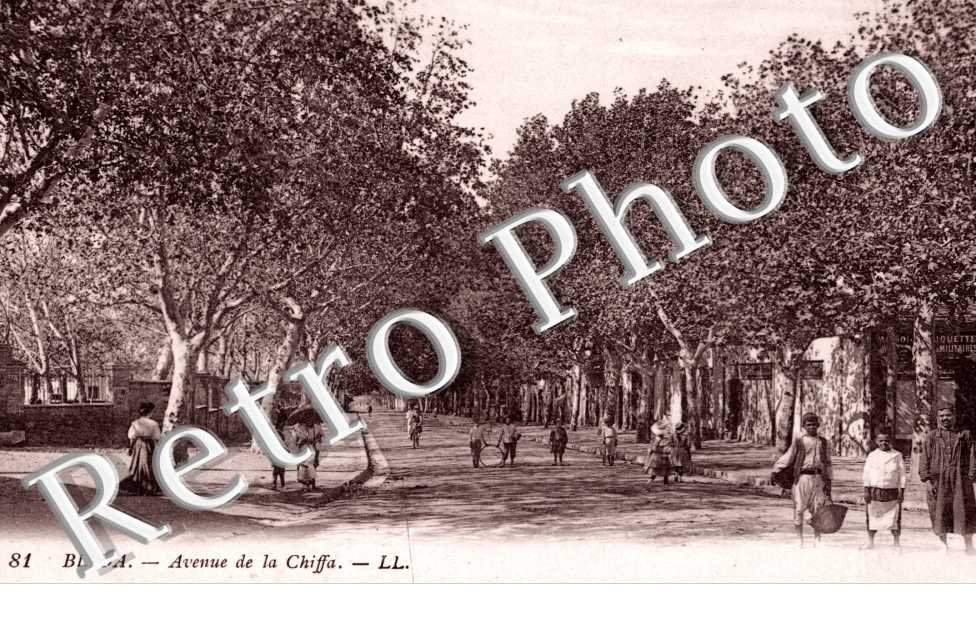 Avenue de la Chiffa