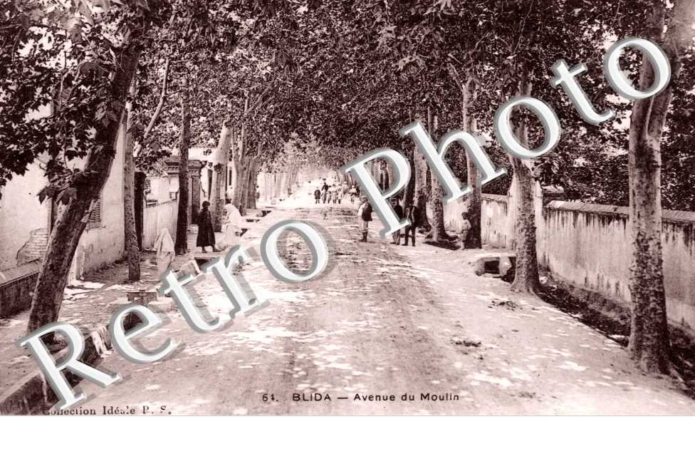 Avenue du Moulin