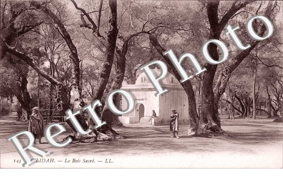Le bois sacré