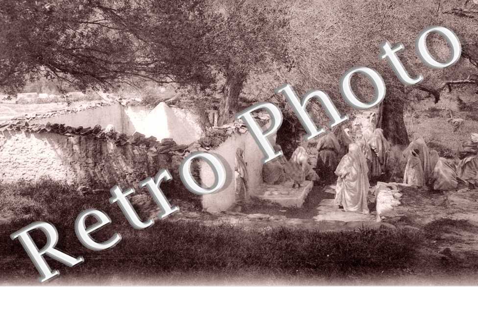 Un Marabout en plein bois