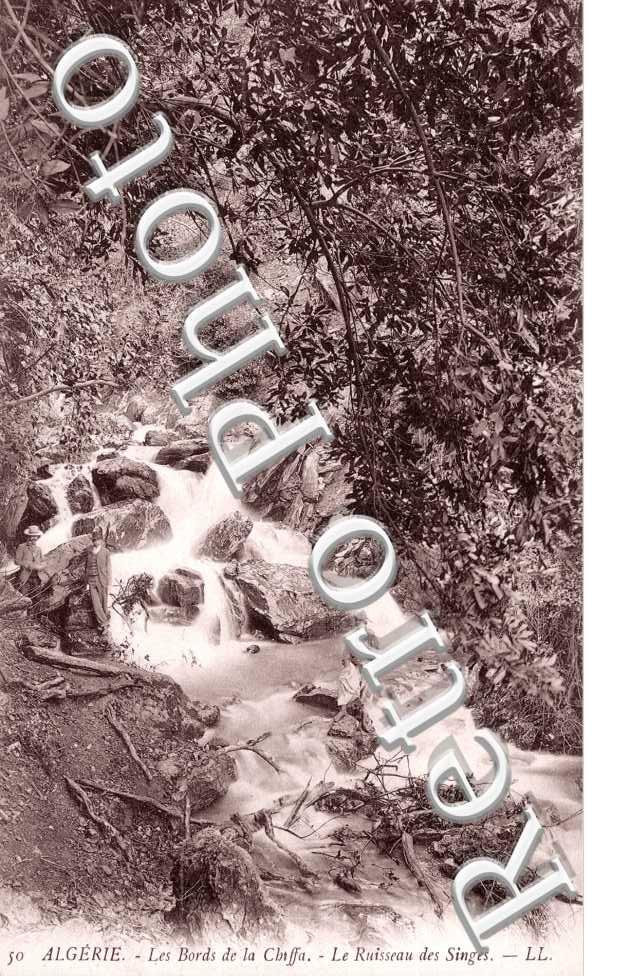 Les Bords de la Cbtffa, Le Ruisseau des Singes