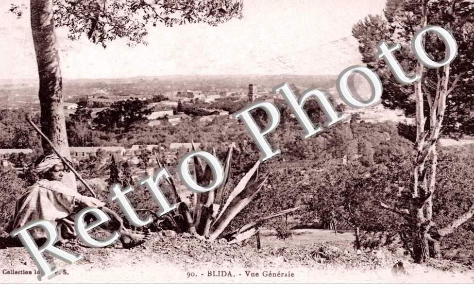 Vue générale