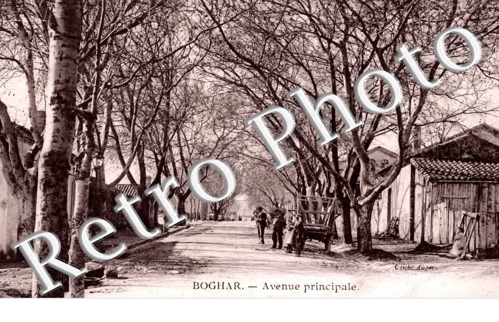 Avenue Principale