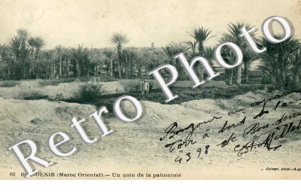 Coin de la Palmeraie
