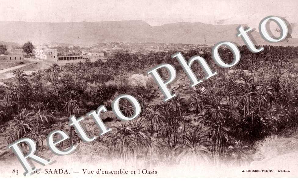 Vue d'ensemble et l'oasis