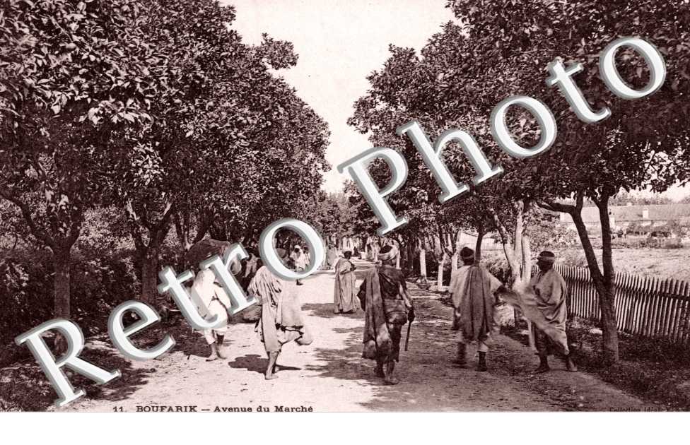 Avenue du Marche