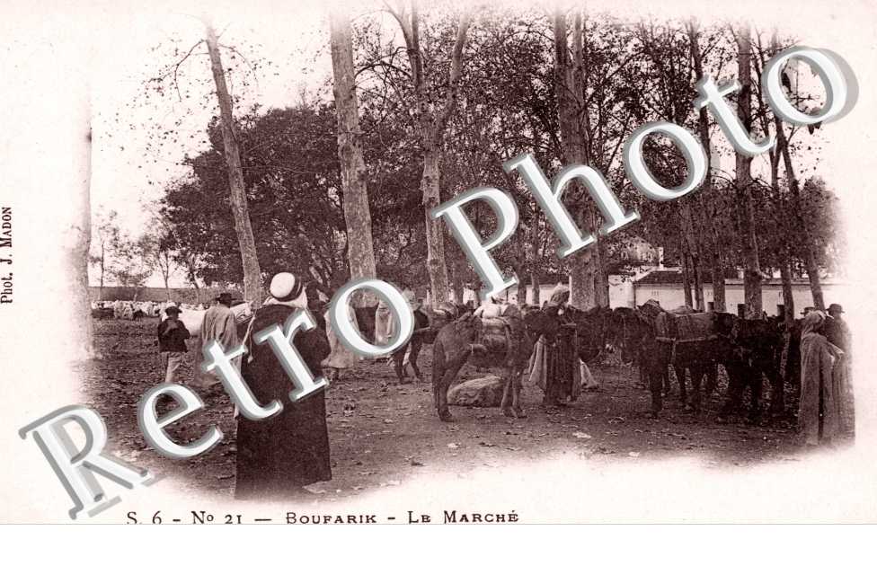 le Marche
