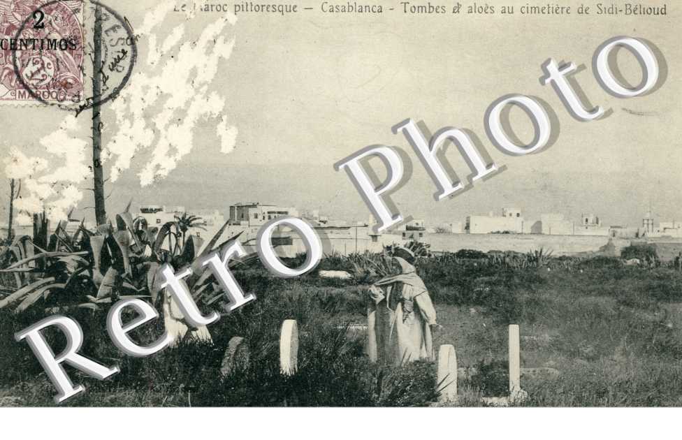 Tombes et aloes au cimetiere de Sidi Belioud