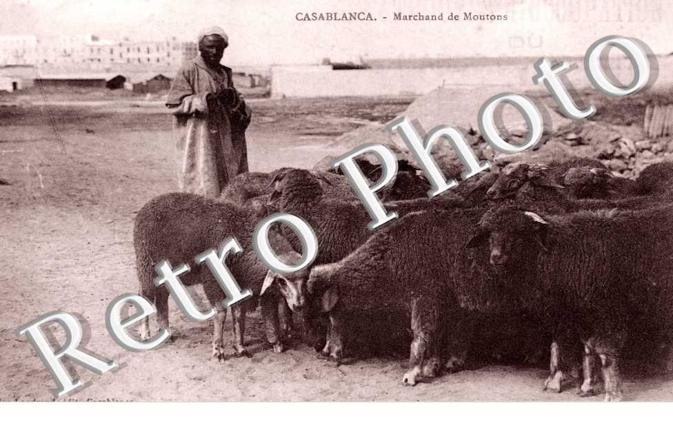 Marchand de Moutons