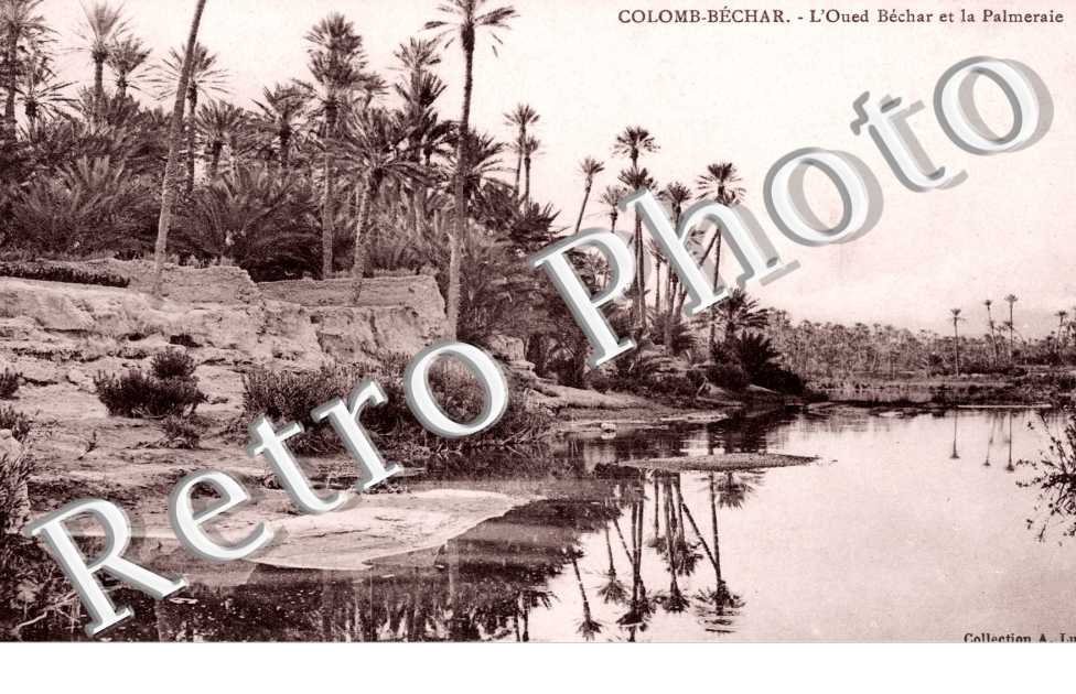 l'Oued Bechar et la Palmeraie