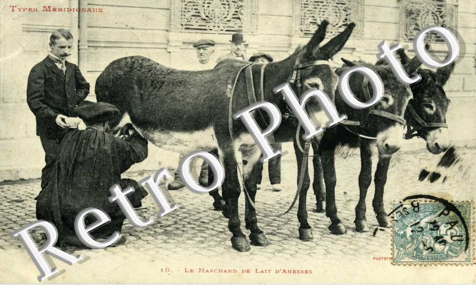 le marchand de lait d'anesses