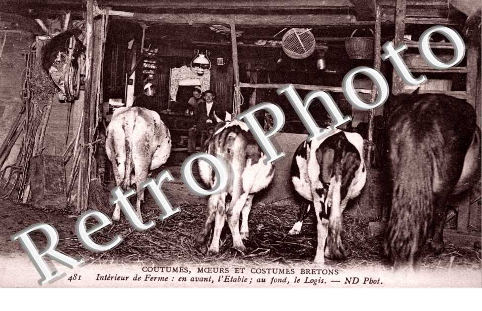 Intérieur de Ferme - En avant l'Etable, au fond le Logis