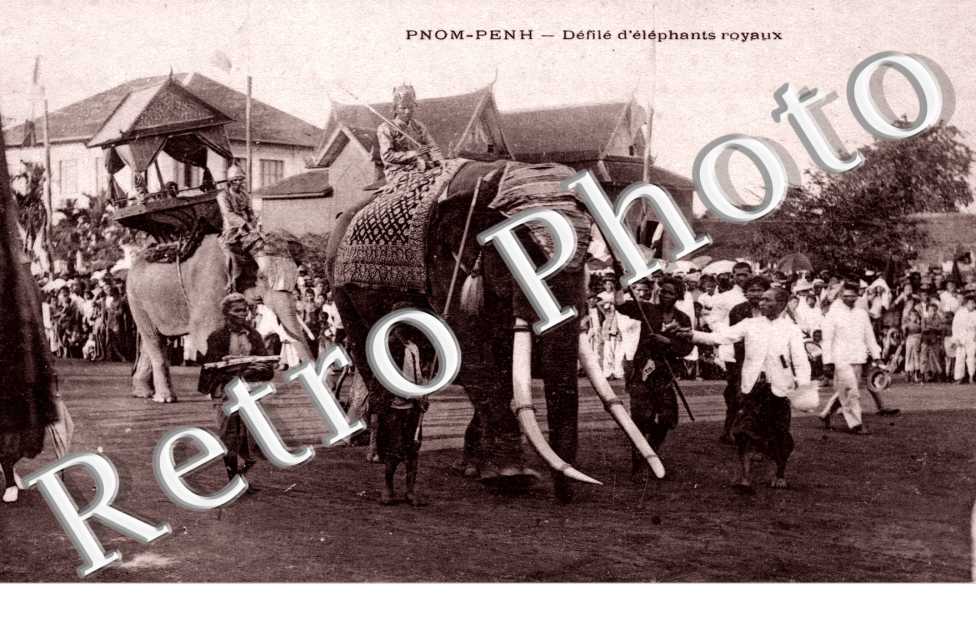 Défilé d'éléphants royaux