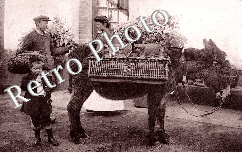 LE LAITIER ET SON ANE