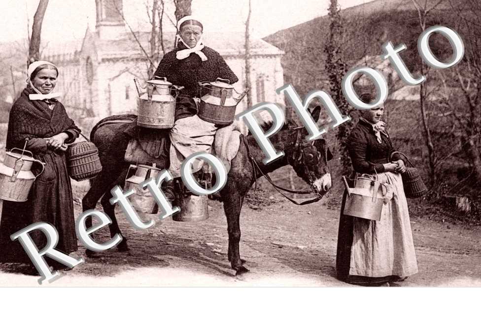 Laitieres