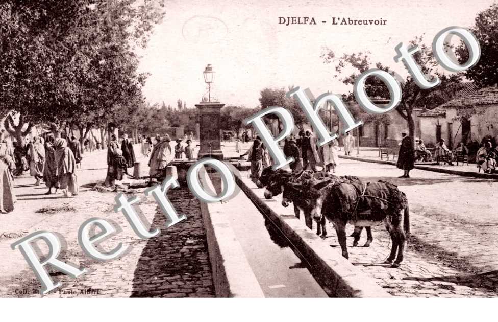 L'abreuvoir