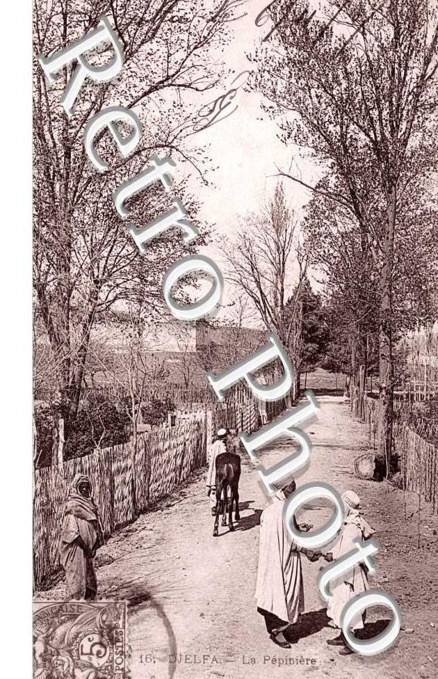 la Pepiniere